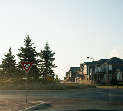 A roundabout with houses and trees in the background